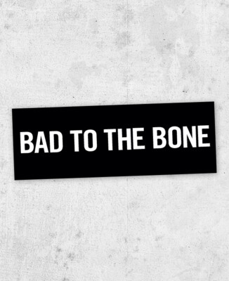 George Thorogood & The Destroyers Bumper Sticker! ''Bad To The Bone''  drink alone