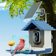 BuTrut Smart Bird Feeder with AI Bird Identification & 2K HD Camera APP Wi-Fi