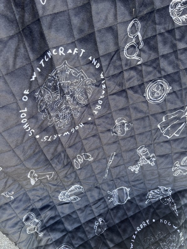 LootCrate Wizarding World Harry Potter Hogwarts Picnic Blanket New
