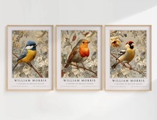 William Morris British Garden Birds Collection Wall Art Prints Posters Pictures
