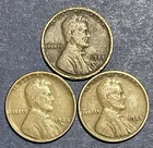 Lincoln Cents. Lot Of 3. 1925 P,D,S. Average Circulated.