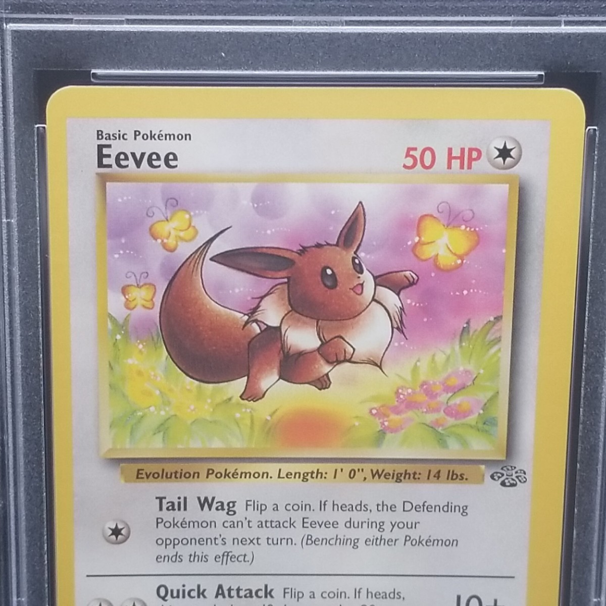 Pokemon PSA 8 Miscut Error - Eevee 51/64 Jungle Set Unlimited Card