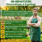 Bild 6 von 7