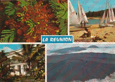 Postcard Reunion Island Flamboyant Flowers