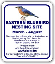 Eastern Bluebird Nesting Site Custom Tyler Aluminum Composite Sign