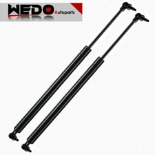 REAR TRUNK LIFTGATE TAILGATE DOOR HATCH LIFT SUPPORTS SHOCKS FITS CHRYSLER DODGE