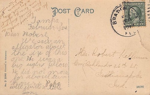Postcard FL: Florida Alligator, Jacksonville, Florida, Antique DB Posted 1910 - Picture 2 of 2