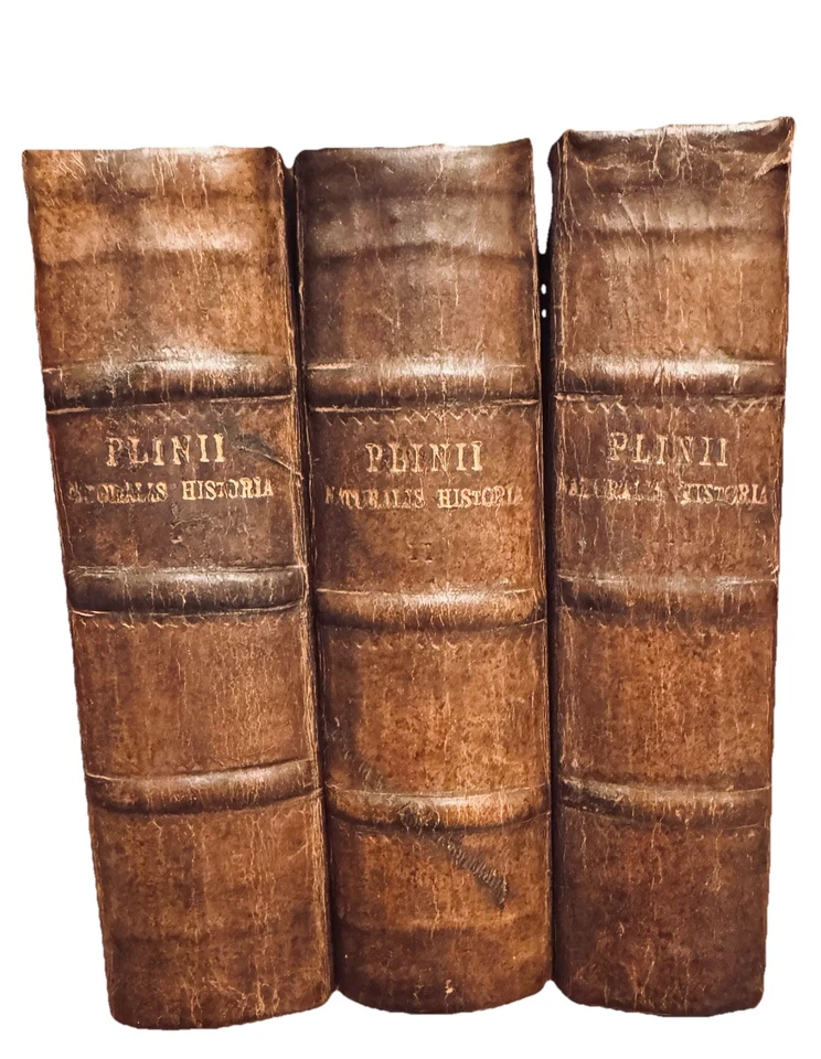 1635 - Pliny the Elder Natural History 3 Vol - Naturalis Historiae - ELZEVIR 1st Foto 2 de 4
