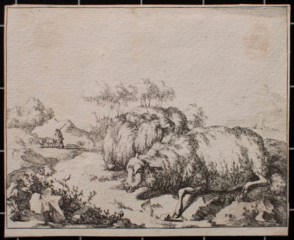 Marcus de Bye Schafe Pastorale Szene niederländisch Tiermalerei Kupferstich 1790 - Bild 2 von 4