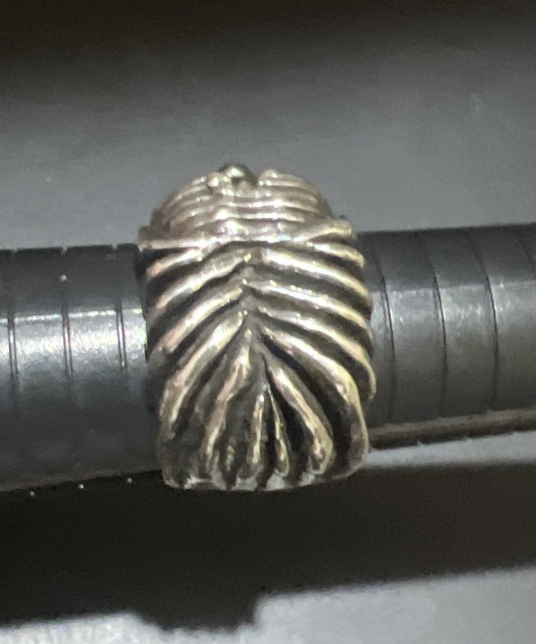 Picture 6 of 9