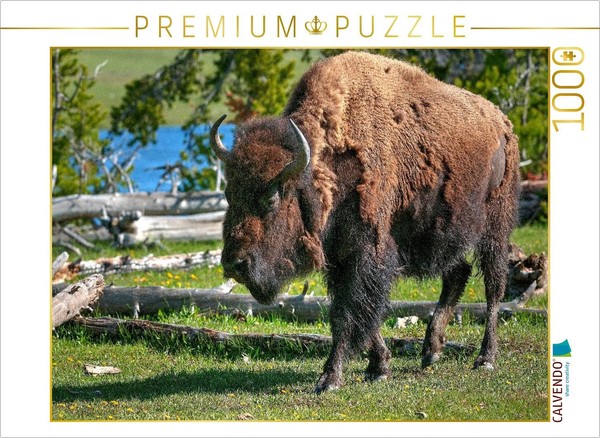 Calvendo Puzzle Bison In Yellowstone National Park | 1000 Pieces, Finished Size-image