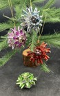 Bild 2 von 8