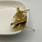 Foto 4 di 10