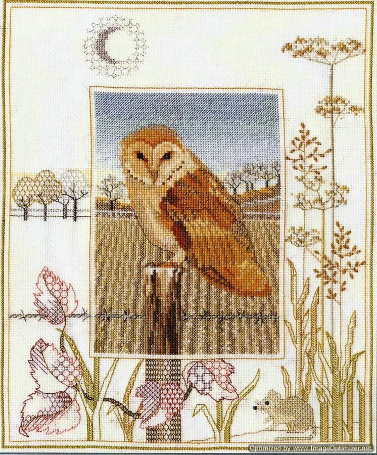 Derwentwater Designs Cross Stitch Kit - Barn Owl