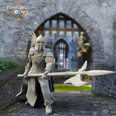 Whitecastle King's Guard A | Print Goes Ever On | RPG Wargaming 3D Printed MESBG