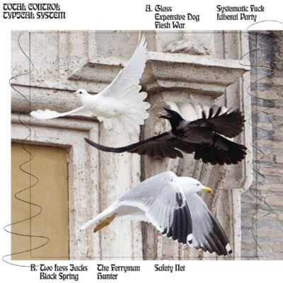 TOTAL CONTROL - TYPICAL SYSTEM   CD NEU
