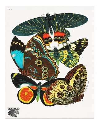 Bunte Schmetterlings-Wandkunst Naturdeko Vintage Nature Butterflies W