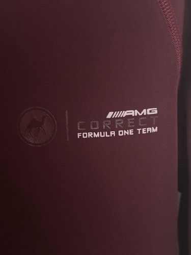 Sudadera con Capucha AMG Formula 1 One Team Borgoña 100% Algodón Hecha en Egipto Mediana - Imagen 2 de 6