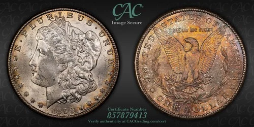 1899-O Morgan Dollar - New Orleans - CAC Unc. Details - Dmg. - Reverse Toning!