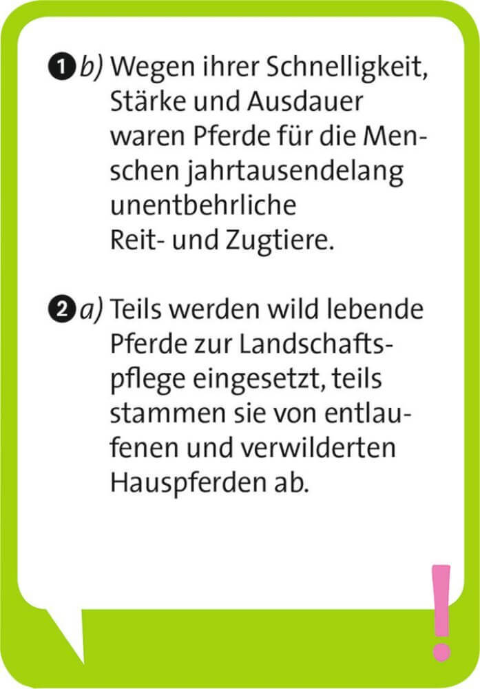 Pocket Quiz Junior Pferde