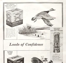 1955 Western Ammo Xpert Super X shells Advertisement Vintage Hunting Guns DWF12