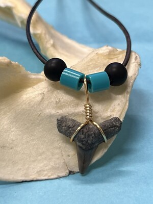SHARK TOOTH NECKLACE ( FOSSILIZED ) ..5/8 Inch DUSKY Shark Tooth 