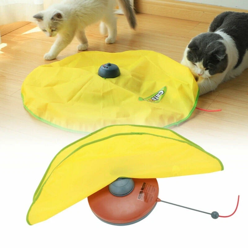 Cat Meow Toy cat-meow-toy