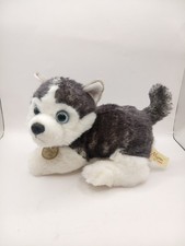 Aurora Plush Miyoni Siberian Husky Gray, White, Blue Eyes Washed Clean