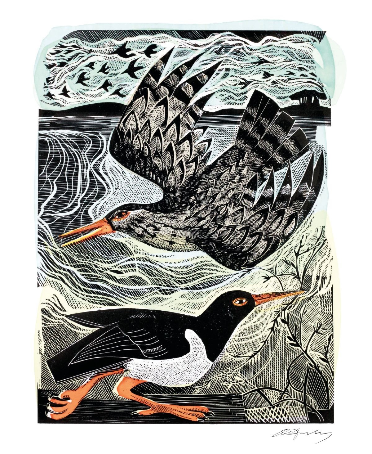Angela Harding Redshank & Oystercatcher Blank Greeting Card with Envelope