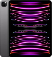 Apple Ipad Pro 6. Gen - 128 GB - Wi-Fi - 12.9 Zoll - Space Grau (Differenzbeste)