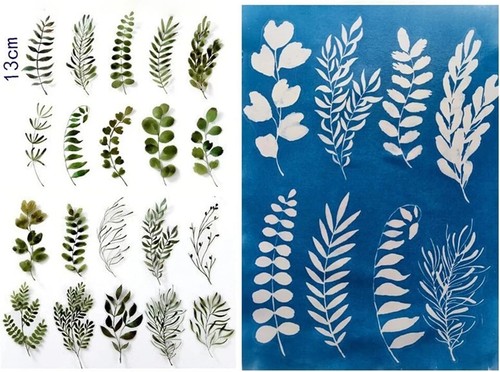 16 Pcs Cyanotype Paper Kit, A4 A5 A6 Sun Print Paper Solar Drawing Paper - 第 3/5 張圖片