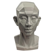 Planar Head Model Drawing Mannequin Artists Learn Planes of Face Human White
