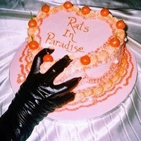 Breeze Emily - Rats In Paradise - Cd - G4Z