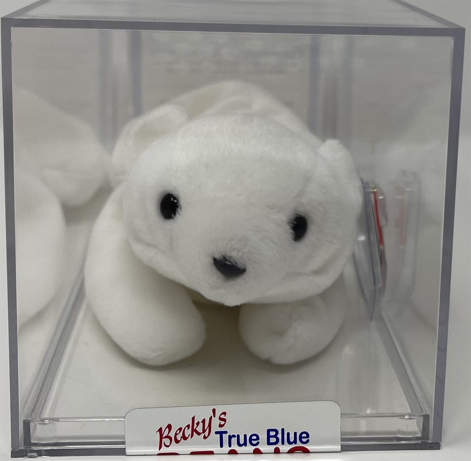 Authenticated Ty Beanie Baby Chilly Polar Bear 2nd 1st Gen White MWMT