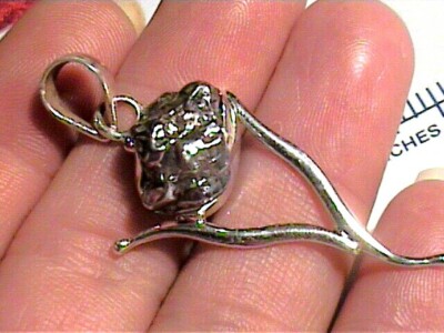 CAMPO DEL CIELO  pendant Silver NATURAL SILVER 925 health wish bone SIMPLE NICE