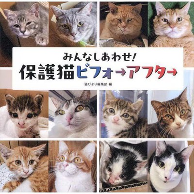 Kitty Photo Story Hardcover Book Cats Smile Park Cute Excellent For Ages 14+