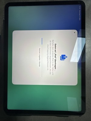 Apple iPad Pro 2. Gen, Wi-Fi + Cellular, 128GB, 11-inch, Space Grau Mit Pencil