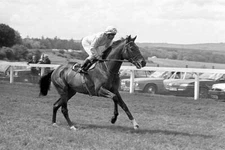 Willie Carson on Troy 1979 Historic Old Photo