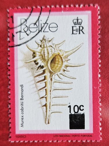 BELIZE 1981 10c Revaluation (Scott 422; SG 621) USED