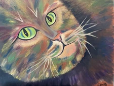 Original Oil Painting 11 X 14 Inches Beautiful Colorful Abstract Cat