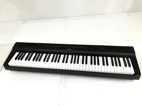 Yamaha p121 Digital Piano & Yamaha SC-KB750 Softcase & Alesis Pedal, accessories, photo 1 of 4