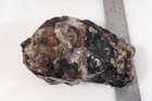 Australia Dravite Tourmaline 2 lb 4 oz Crystal specimen — photo 6