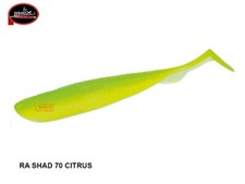 MOLIX RA SHAD 3,8' COLOR 470 CITRUS SPINNING MARE SPIGOLA LAGO BASS