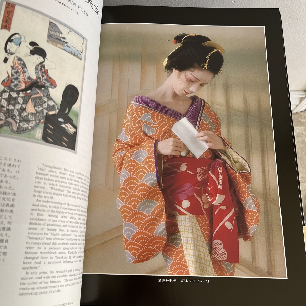 Ukiyoe Kuzushi Vol. 2. Text by Giichi Fujimoto. Hoshino Ukiyoe Kuzushi Vol. 2. Text by Giichi Fujimoto. Hoshino