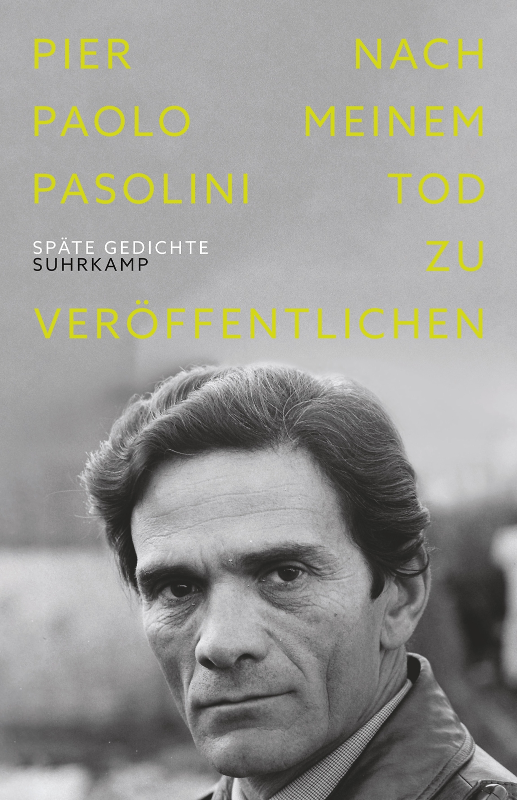 Nach Meinem Tod Zu Veröffentlichen, Pier Paolo Pasolini