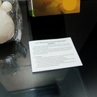 Picture 9 of 10