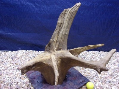 X-Large Driftwood Mounted on Slate 18''x15''x14'' Aquarium Reptile Natural Art