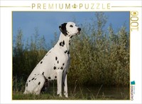 Calvendo Puzzle Dalmatiner Am Wasser | 1000 Teile Lege-GrößE 64X48Cm Foto-Puzzle