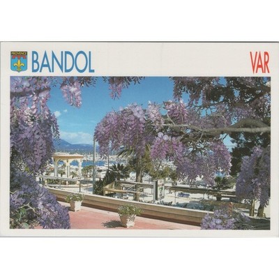 AK Bandol Provence Var Frankreich Blumen Hafenblick