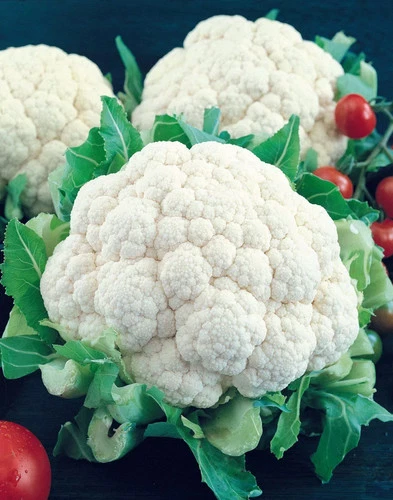 500 SNOWBALL SELF BLANCHING CAULIFLOWER SEEDS ~ heirloomseedguy ~ 2026 ~ NON-GMO